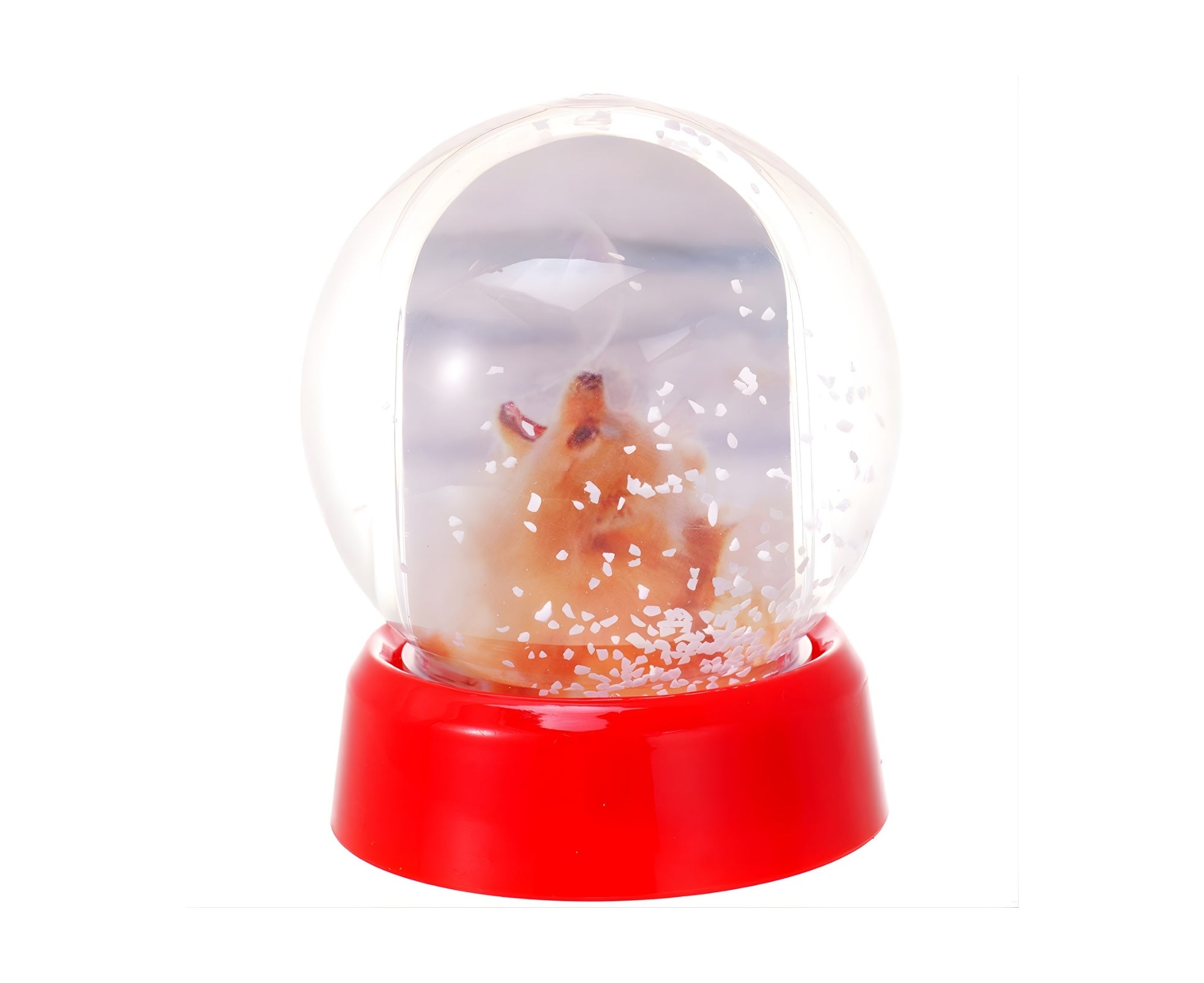 GPPGSG | Photo Globe Snow Globe 9 cm